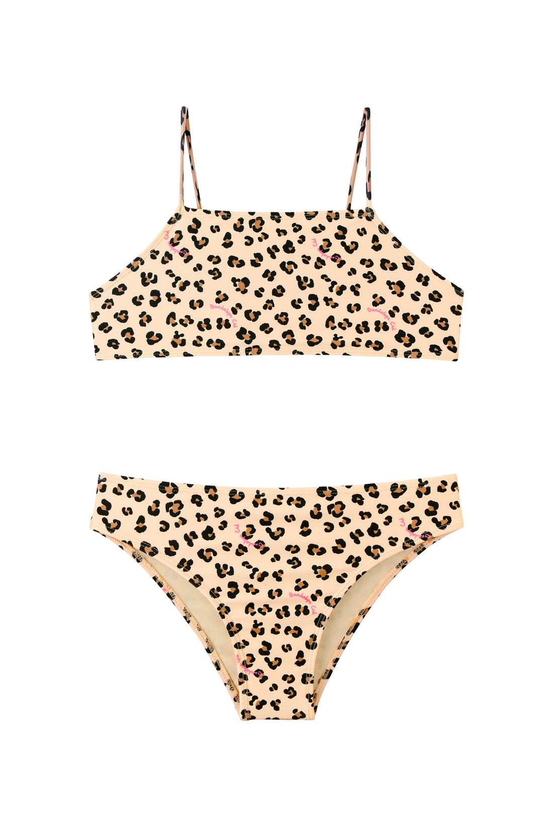 Little Teddy Print